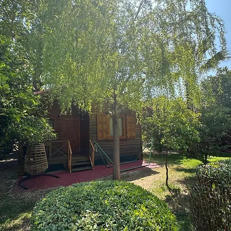 Bed & Breakfast Ceylan *