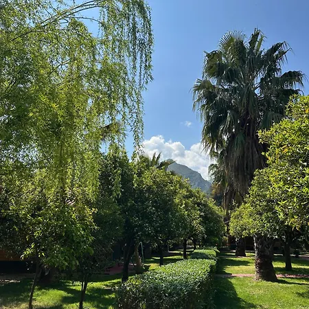 Ceylan Bed & Breakfast