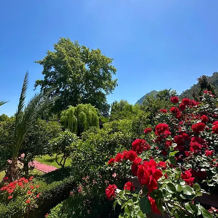 Bed & Breakfast Ceylan Çıralı